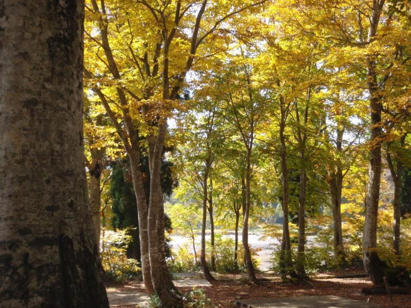 Lodge Matsuya Nozava Onszen Kültér fotó