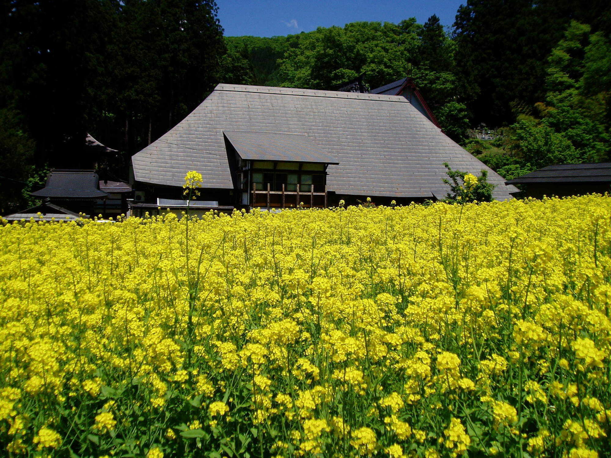 Lodge Matsuya Nozava Onszen Kültér fotó